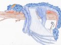 Azurea1.jpg